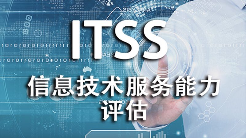 信息技术服务资质与人员要求：区别与关键考量